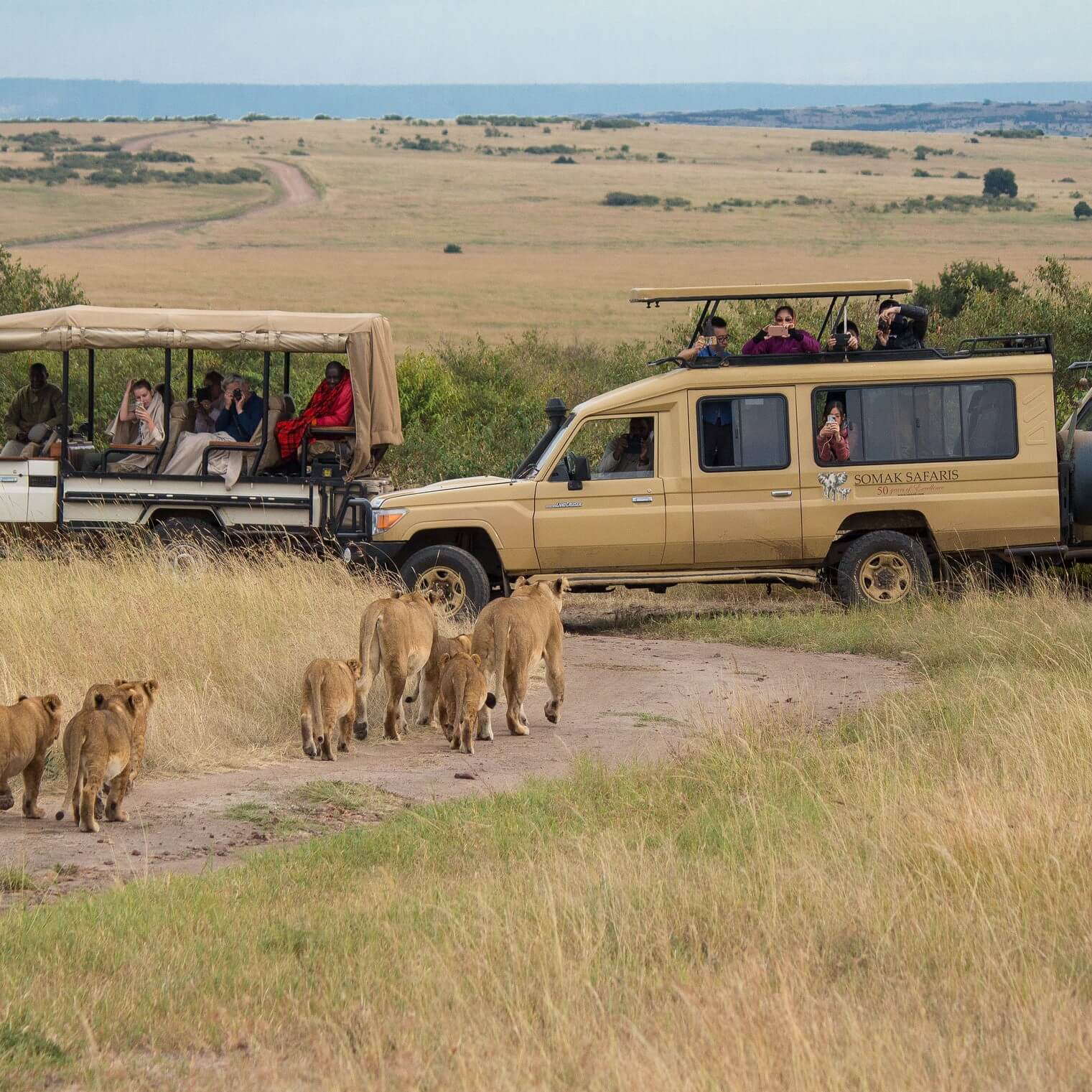 Ecotourism